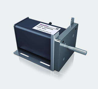 自动视窗系统电机模块